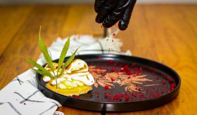 Cape Town’s trendy Infusion on Long gets creative with cannabis