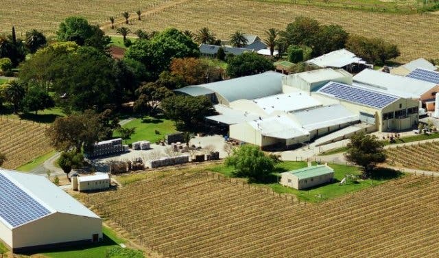 Drink top Cap Classique and view game at Villiera Wines