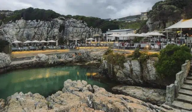 If Hermanus is the riviera of the South, then Ficks is the reason why