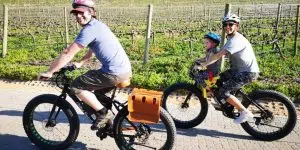 Vine Bikes | An e-bike wine farm tour  courtesy of Vine Bikes