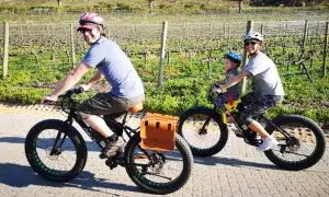 Vine Bikes | An e-bike wine farm tour  courtesy of Vine Bikes