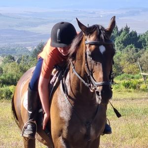Honingklip Equestrian | Horse Riding time out with Beer tasting for 2