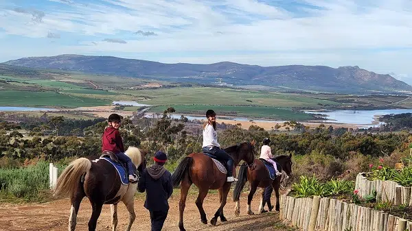 Horse Riding in South Africa; Deals Edition