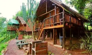 Treehouse River Lodge | 1 night anytime stay for two