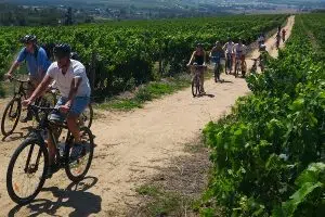 Bikes and Wines | Stellenbosch Half Day Winelands Cycle Tour for 1