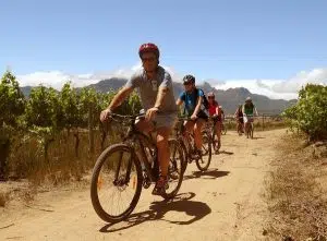 Bikes and Wines | Stellenbosch Half Day Winelands Cycle Tour for 1