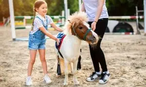 ESDA | Full day pony camp for kids including lunch x 1