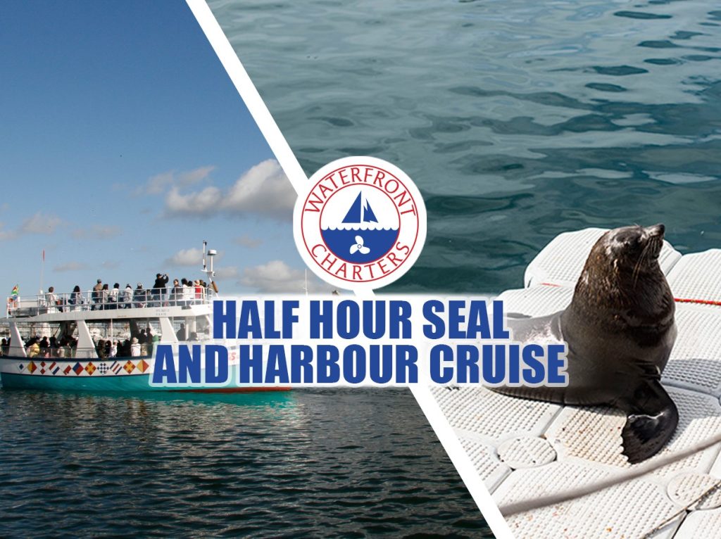 Waterfront Charters | 30 Min Seal And Harbour Cruise for 2