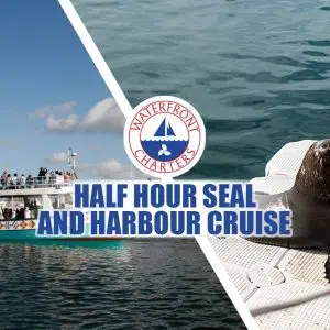 Waterfront Charters | 30 Min Seal And Harbour Cruise for 2