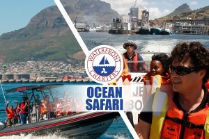 Waterfront Charters | Ocean Safari 60 min for 2