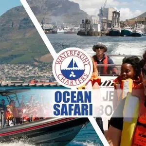 Waterfront Charters | Ocean Safari 60 min for 2