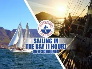 Waterfront Charters | Sailing in the Bay aboard a Schooner, Esperance for 2