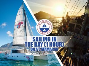 Waterfront Charters | Sailing in the Bay aboard a Catamaran, Serenity for 2