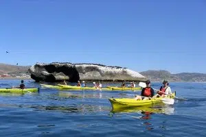 Extreme Scene | Sea Kayak Atlantic Seaboard for 1