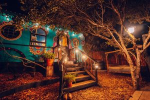 Treedom Villas and Vardos | Villa 2 nights for 4 people