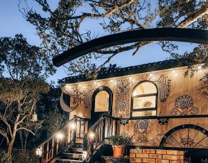 Treedom Villas and Vardos | Vardo 1 night for 2 People