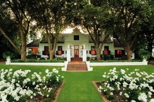 Nederburg Wines | 5 Sense Experience with canapé-style food for 1