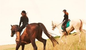 SA Horse Trails | 1-Hour horse ride experience for 2