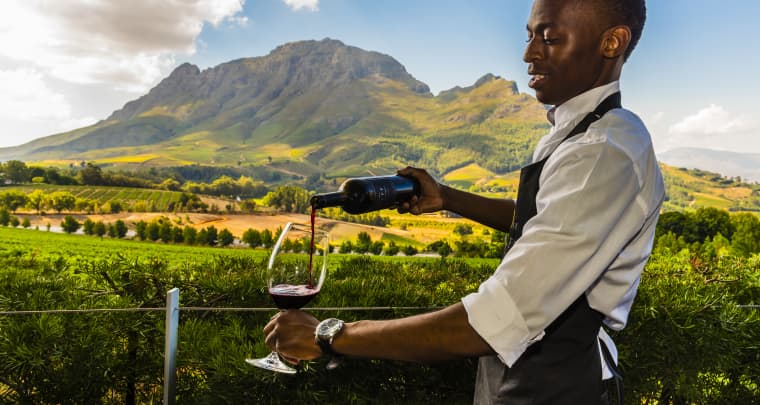 Top 10 Wine Farms with Tastings in Cape Town