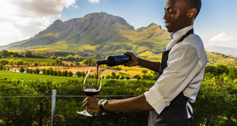 Top 11 Wine Farms with Tastings in Cape Town - FOMO