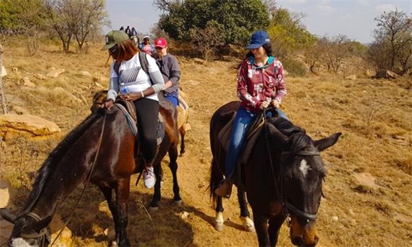 SA Horse Trails | 1-Hour horse ride experience for 2