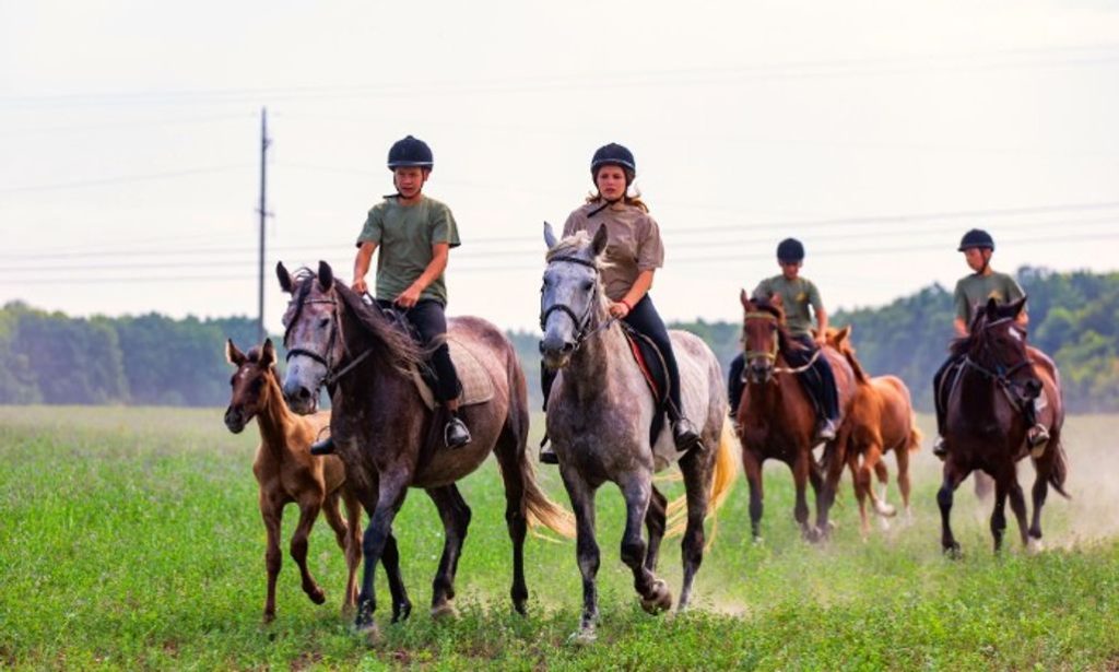 Herd Dynamics Horsemanship | Horse trail experience for 2
