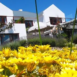 Farr Out Guesthouse | 1-Night stay for two at Farr Out Guesthouse