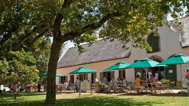 Top 10 Wine Farms with Tastings in Cape Town