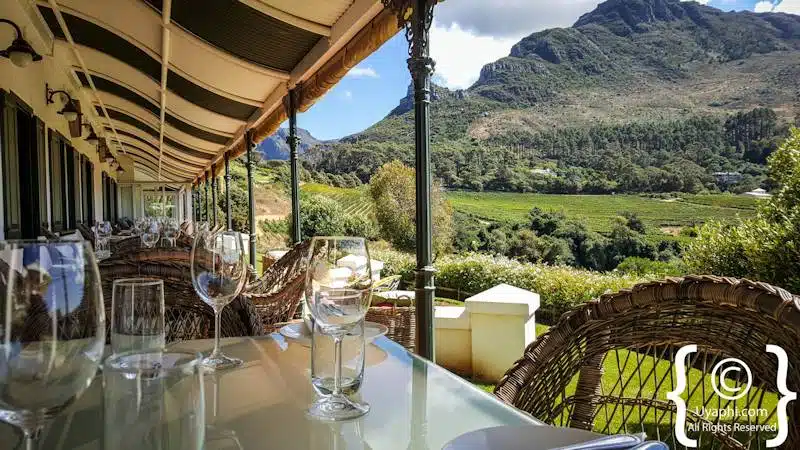 Top 10 Wine Farms with Tastings in Cape Town