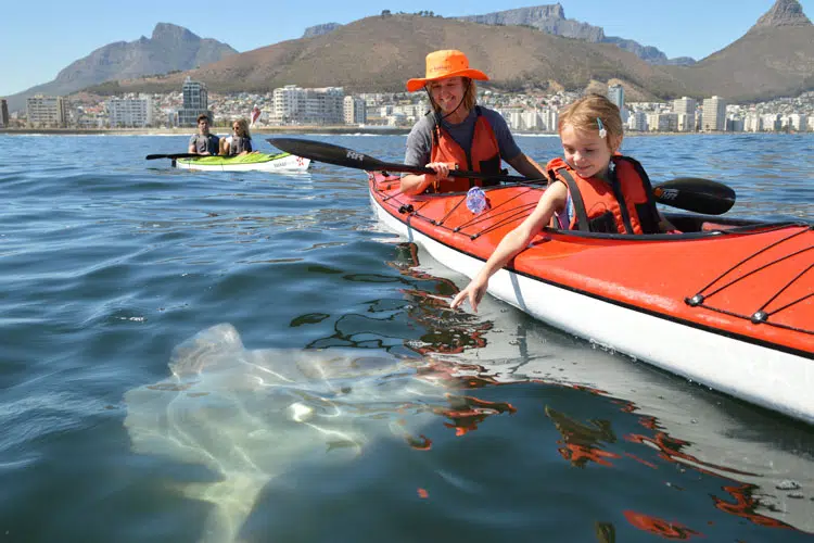 Best Sea Kayak Experience in Cape Town + Tips