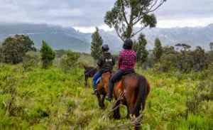 Patch of Heaven | A Horse Riding Experience for 1