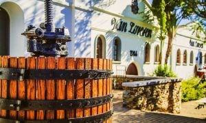 Van Loveren | Choice of food & wine pairing including tour and a bottle of wine for 2