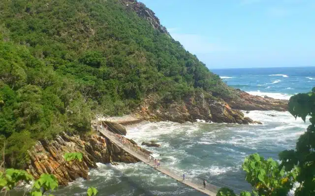 Best Things to do on The Garden Route, South Africa