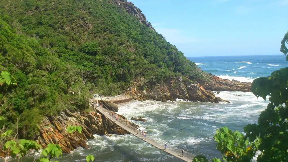 Best Things to do on The Garden Route, South Africa