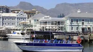 Combo Deal | Table Mountain Abseil experience and Harbour Cruise (Dawn) for 2