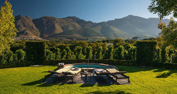 Exploring the Cape Winelands: A Wine Lover's Guide to Cape Town