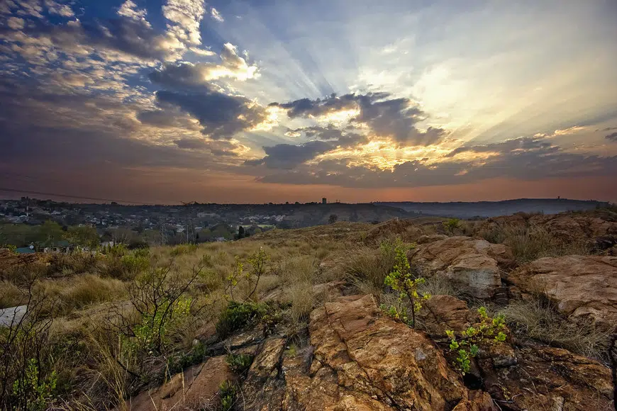 20 Coolest Free Things to do in Johannesburg, South Africa
