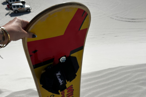 Wild X | Sandboarding Experience for 2
