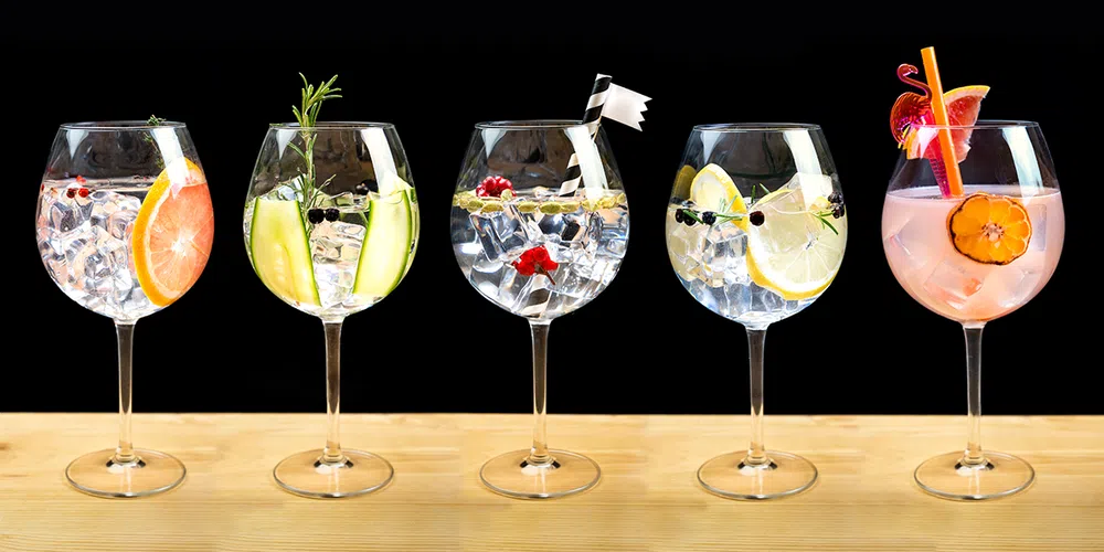 Tantalizing Gin Tastings in Cape Town