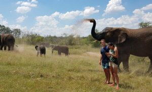 Adventures with Elephants | A Kids Elephant Nature Walk in Bela Bela for 1