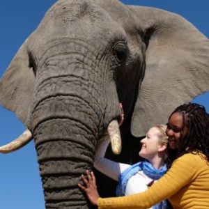 Adventures with Elephants | A Kids Elephant Nature Walk in Bela Bela for 1
