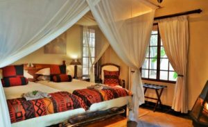 Kololo Game Reserve | Sight the Big Five with an All-Inclusive Luxury Bush Stay and Two 3-hour Big 5 Game Drives per night stay