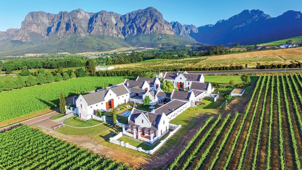 Queer Eye Tours | Stellenbosch Wine Tour Incl Wine Tasting, Lunch and Wildlife Sightseeing for 4