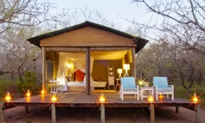 Ngama Tented Safari Lodge | Kruger Park: 2 Night stay for two including all meals, picnic, massage, guided walk and more