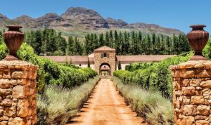 Queer Eye Tours | Stellenbosch Wine Tour Incl Wine Tasting, Lunch and Wildlife Sightseeing for 4