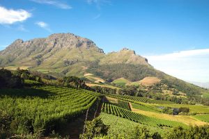 Queer Eye Tours | Wine Tasting in Franschoek Incl Lunch and Drinks for 4