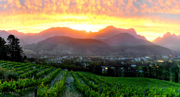 Queer Eye Tours | Wine Tasting in Franschoek Incl Lunch and Drinks for 4