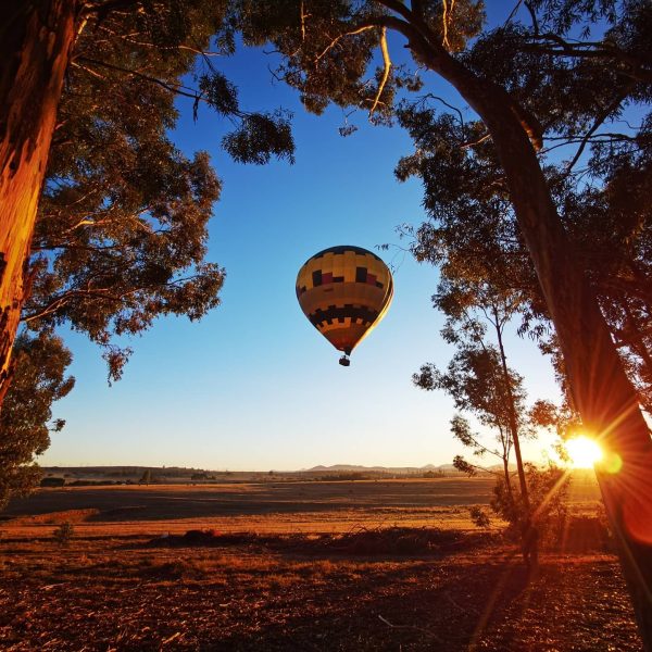 Ballooning Cape Town | Sunrise Hot Air Balloon Experience including Breakfast for 1