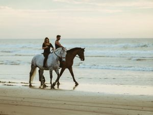 Garys Beach Horse Rides | Beach Horse Ride For 1