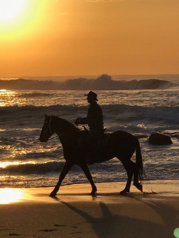 Garys Beach Horse Rides | Beach Horse Ride For 1